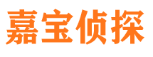 元宝寻人公司